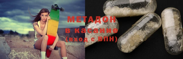 индика Инта