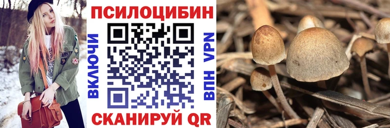 Купить закладки  Змеиногорск  Псилоцибиновые грибы Magic Shrooms 